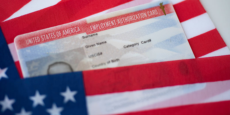 Surface view of Employee Authorization Card identity card of the United States of America covered by the US flag