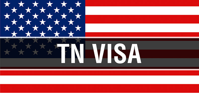 The words TN VISA are written in bold font in the middle of the American 3D vector flag.